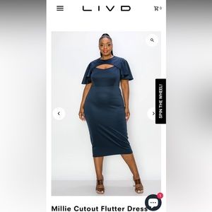 LIVD Plus sized dress